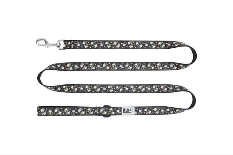 RC Pets RC Pets Petite Leash 1/2" x 6'