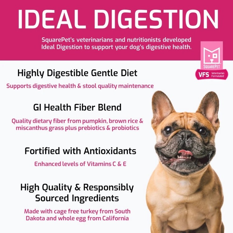 Square Pet Square Pet VFS Canine Ideal Digestion Formula 22lb