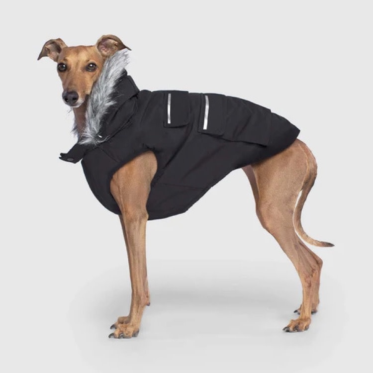 Canada Pooch Canada Pooch Everest Explorer Jacket