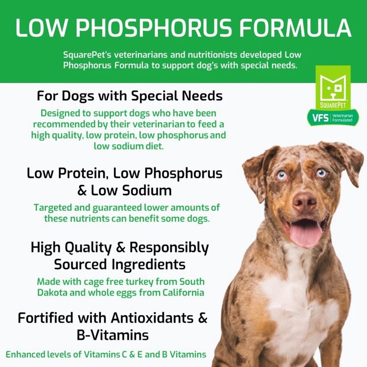 Square Pet Square Pet VFS Canine Low Phosphorus Formula 22lb