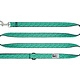 RC Pets RC Pets Leash 3/4" x 6'