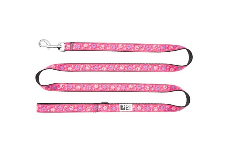 RC Pets RC Pets Leash 1" x 6'