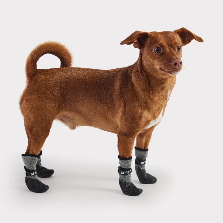 GF Pet GF Pet All Terrain Boots