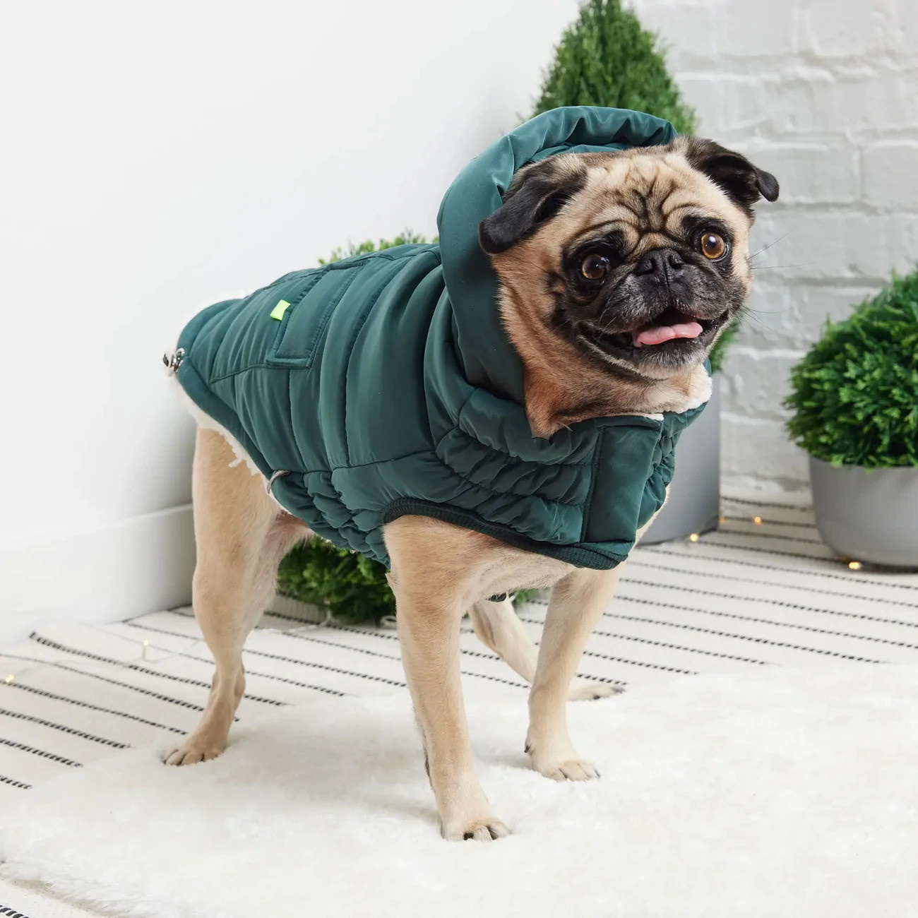 GF Pet GF Pet Super Puff Parka
