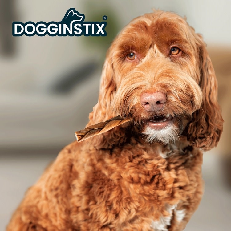 Dogginstix Dogginstix Braided Lamb Collagen Stick