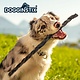 Dogginstix Dogginstix Braided Lamb Collagen Stick