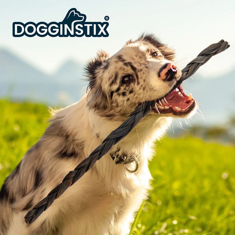 Dogginstix Dogginstix Braided Lamb Collagen Stick