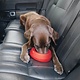 Kurgo Kurgo Splash-Free Wander Water Bowl