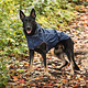 GF Pet GF Pet Reversable Raincoat
