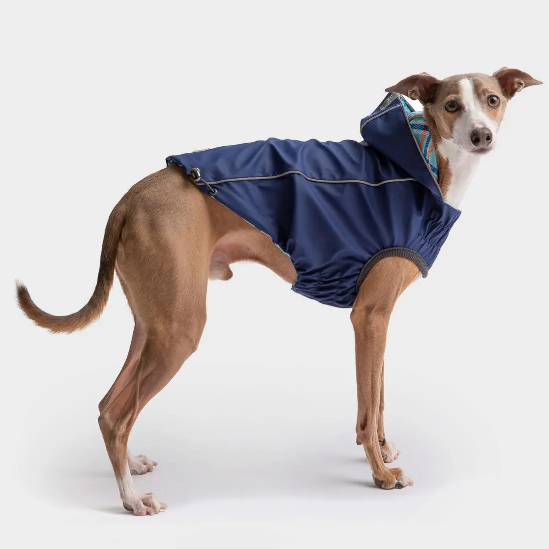 GF Pet GF Pet Reversable Raincoat