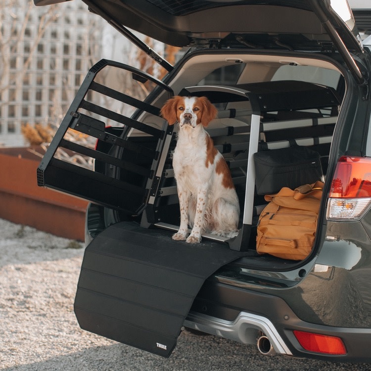 Thule Thule Allax Dog Crate -