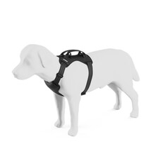 Thule Thule Cappy Dog Harness Black