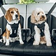 Thule Thule Cappy Dog Harness Black