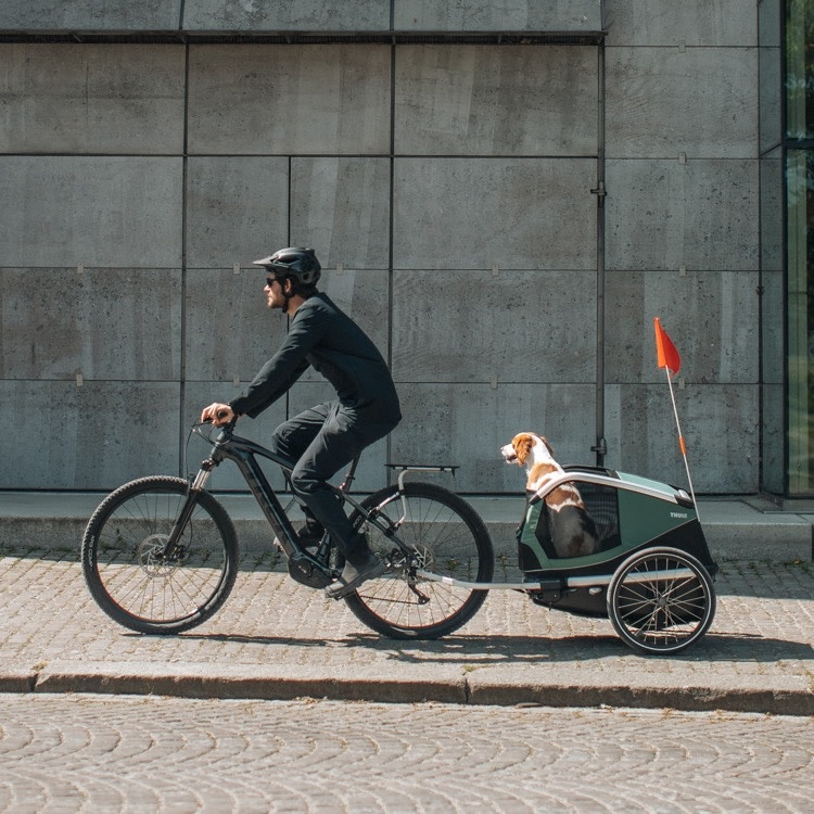 Thule Thule Bexey Bike Trailer -