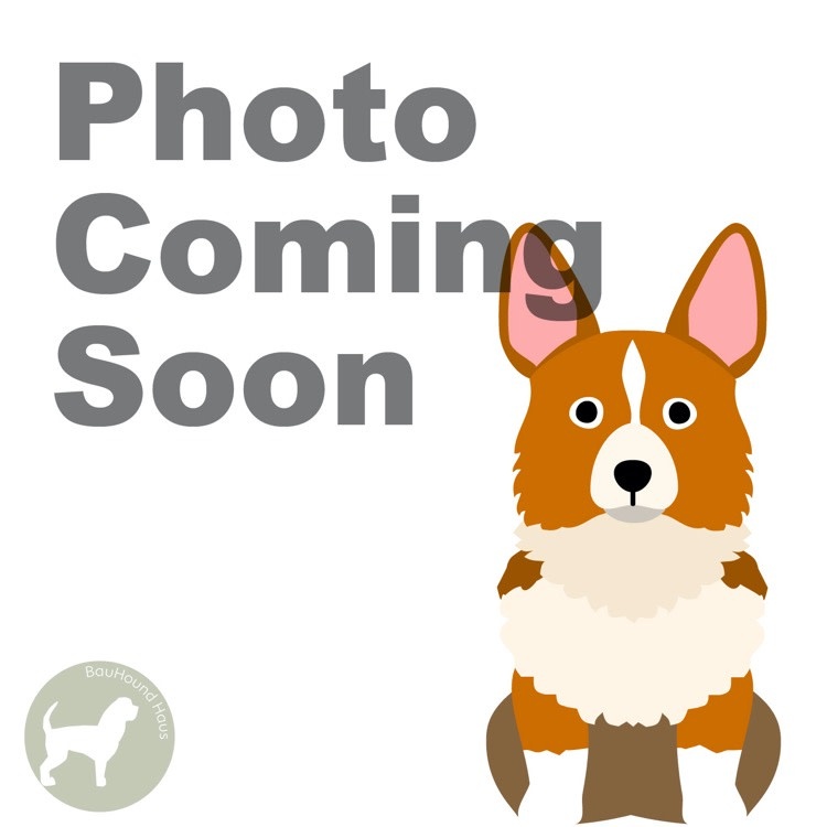 Ethical Pet Products Nothin' To Hide Collagen Dog Chew 10"