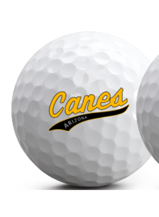 Vice Golf Pro Plus Ball - Canes (Dozen)