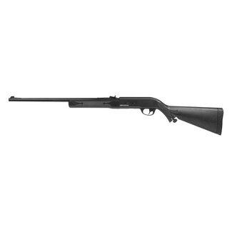 Daisy Daisy model 74 co2 BB rifle