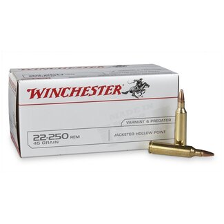 Winchester Winchester 22-250 REM 45 Grain JHP 40 Rounds