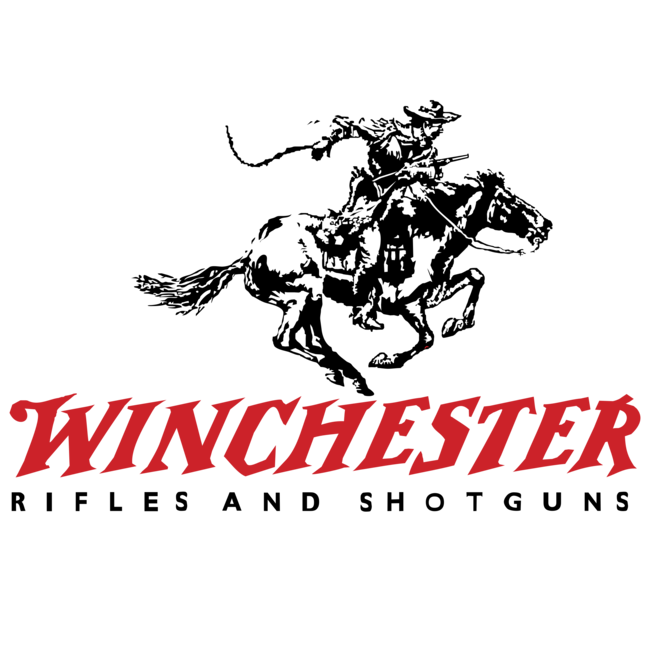 Winchester 22 Winchester Rimfire 45GR Hollow Point 50RD