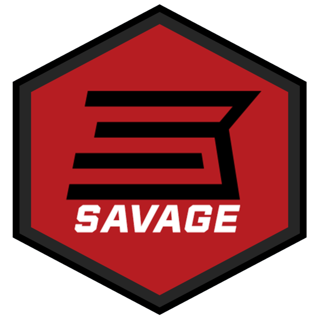 Savage Arms B22 Magnum F Compact Bolt Action 22WMR 19" BBL 10RD — Siwash Sports