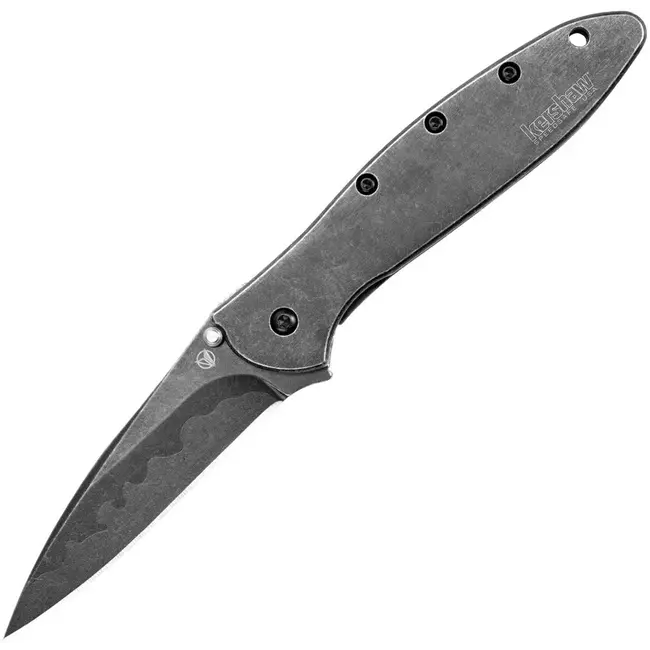 Kershaw Leek Composite Black Wash Blade Knife