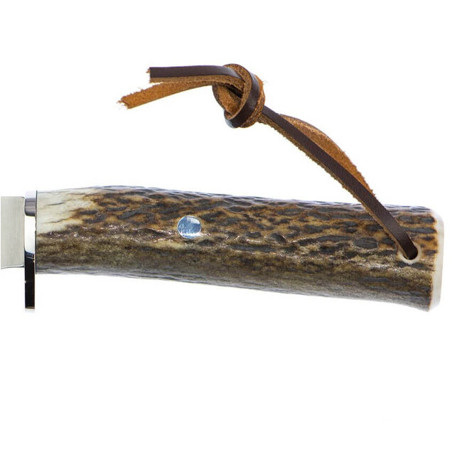 Muela Pointer 13A Hunting Knife w/ Deer Antler Handle 13 cm