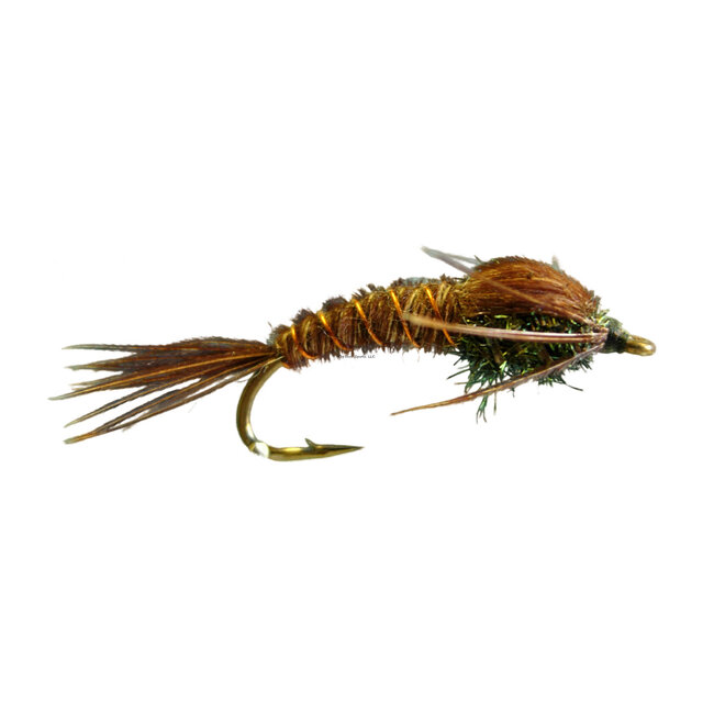 Dragonfly DN4673 Pheasant Tail Nymph #12