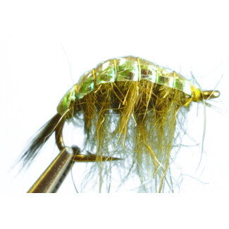 Dragonfly DW12349 Scud Olive #14