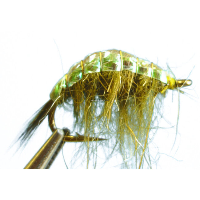 Dragonfly DW12349 Scud Olive #14