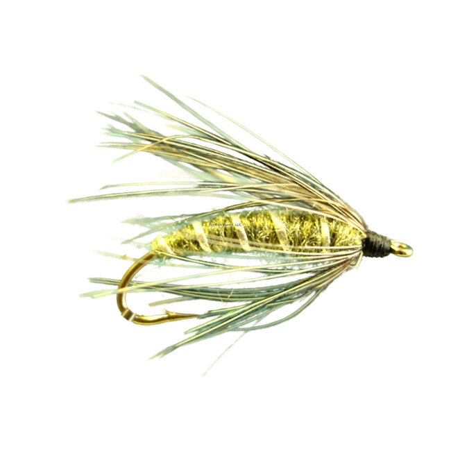 Dragonfly DW4661 Carey Olive #12