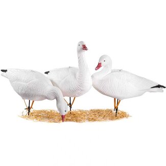 Duck Mania Full Body Snow Goose, 1 Dozen, Soft Shell Stand Included