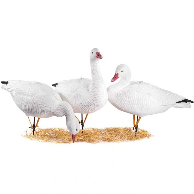 Duck Mania Full Body Snow Goose, 1 Dozen, Soft Shell Stand Included