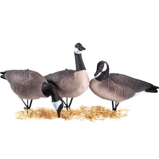Duck Mania Full Body Canada Goose, 1 Dozen, Soft Shell Stand Included