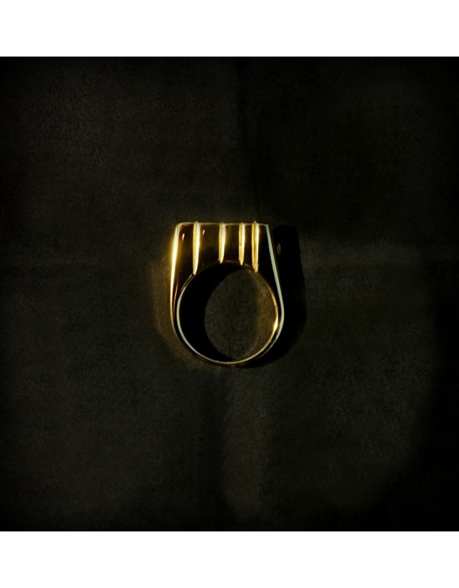 Raw Raw Smoker Ring with Gold Finish - Size 12