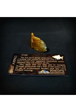 Spirit Animal Carved Stone Mini - Fish
