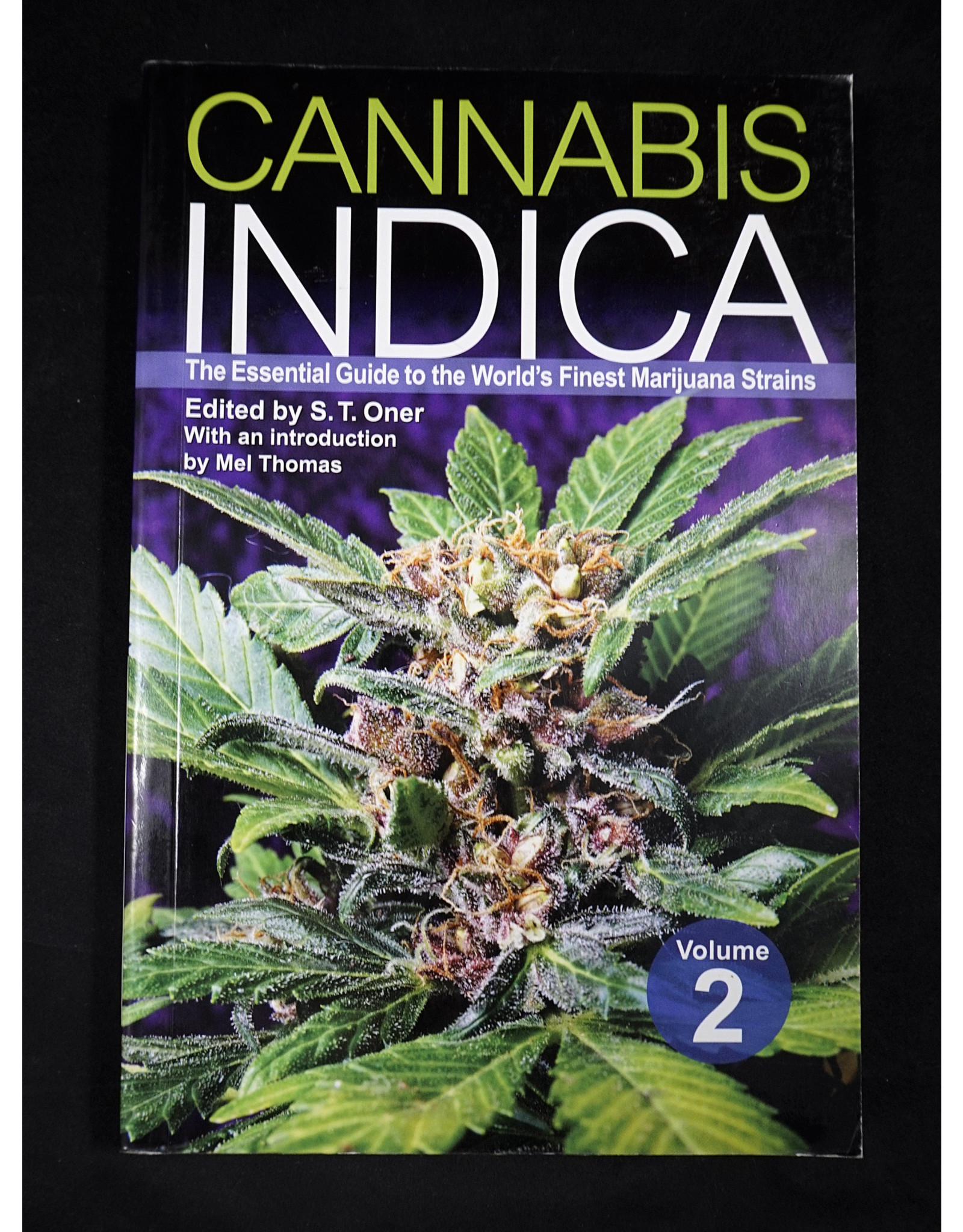 Cannabis Indica Volume 2