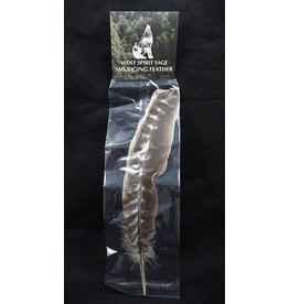 Wolf Spirit Sage Barred Turkey Smudging Feather