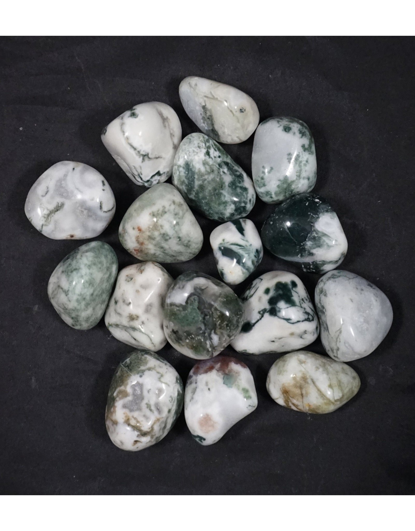 Green Tree Agate Small Tumbled Stone