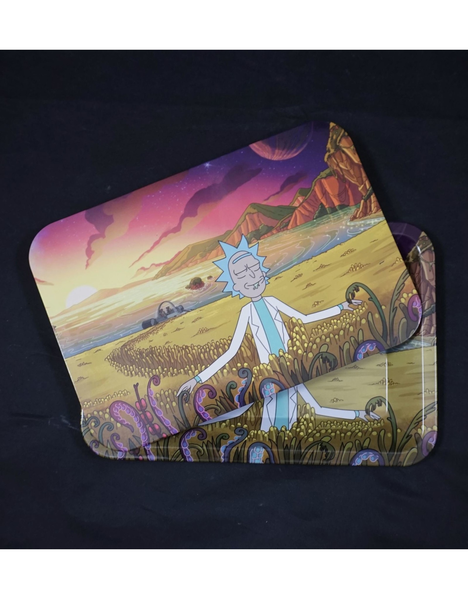 Rick & Morty Two Bags Small Metal Rolling Tray w/ Magnetic Lid - Slightly  Burnt Out