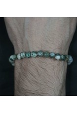 Elastic Bracelet 6mm Round Beads - Tree Agate