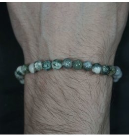 Elastic Bracelet 6mm Round Beads - Tree Agate