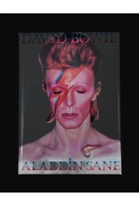 David Bowie Aladdin Sane Magnet