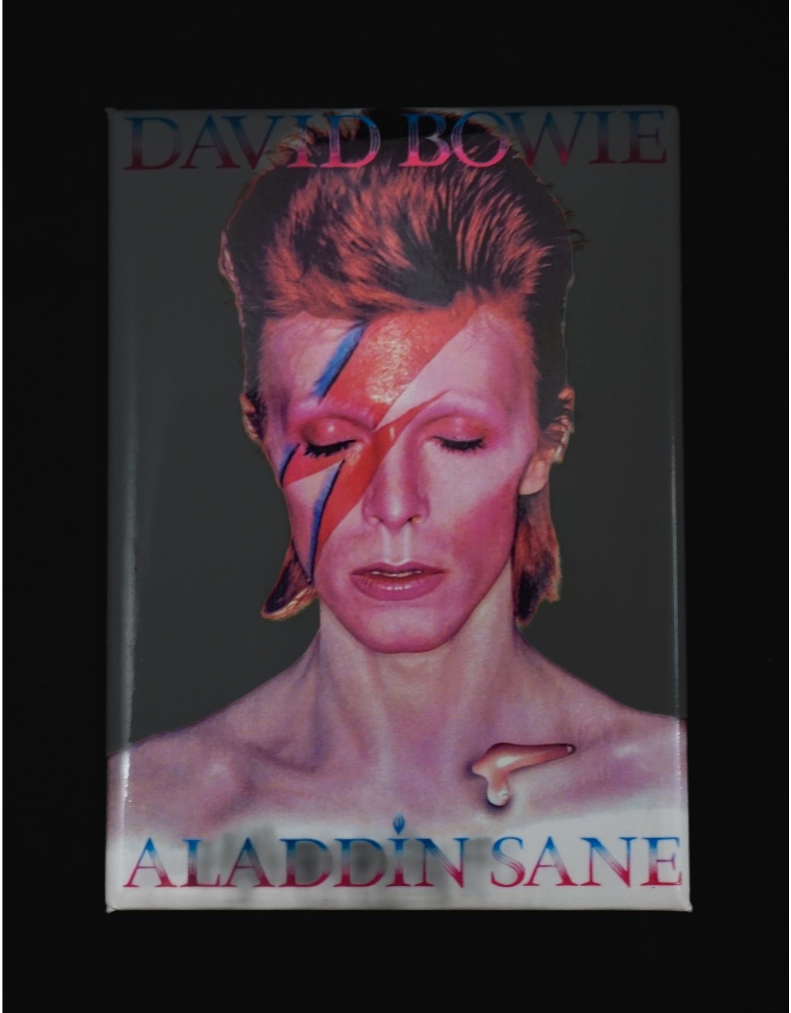 David Bowie Aladdin Sane Magnet