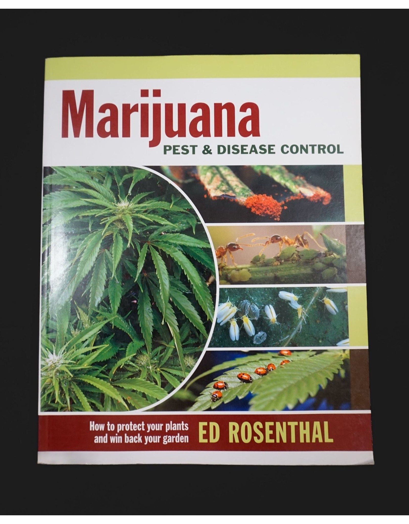 Marijuana Pest & Disease Control