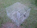 Joy Fish Blue Crab Trap 1.5'' Hex Mesh 24" X 24" X 19"