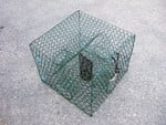 Joy Fish Blue Crab Trap 1.5'' Hex Mesh 24" X 24" X 19"