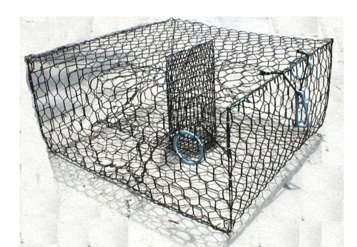 Joy Fish Blue Crab Trap Low Boy 24" X 24" X 11" Vinyl Coated Black