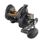 Penn Squall II Star Drag Conventional Reel