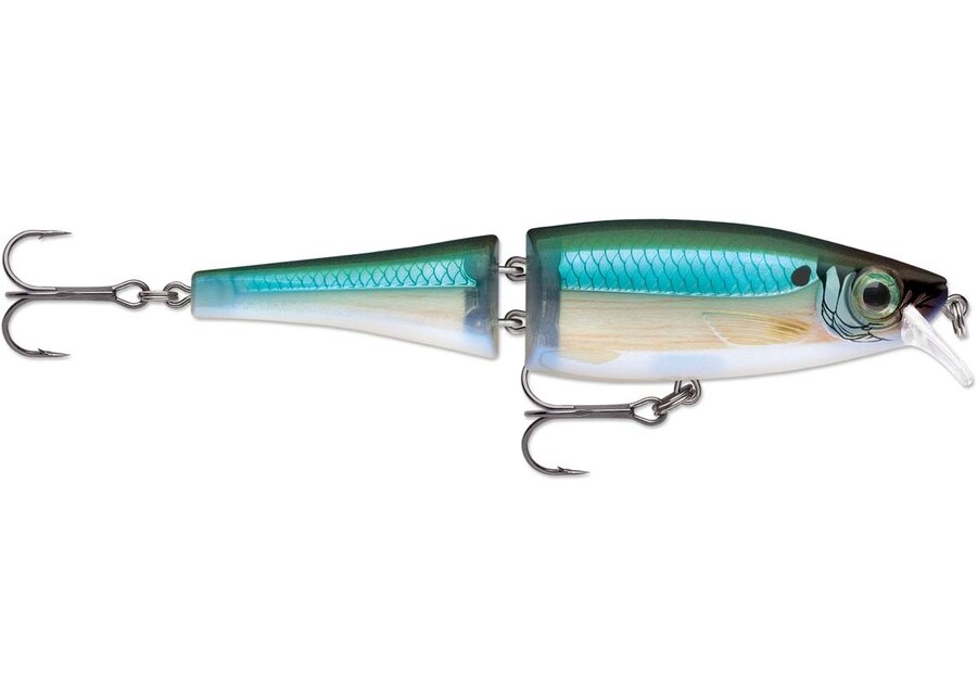 Rapala BX Swimmer 12 Fishing Lure, Rainbow Trout, 4-3/-Inch : :  Sports & Outdoors