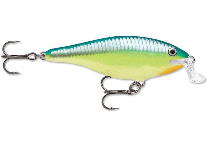 Rapala Shallow Shad Rap 05